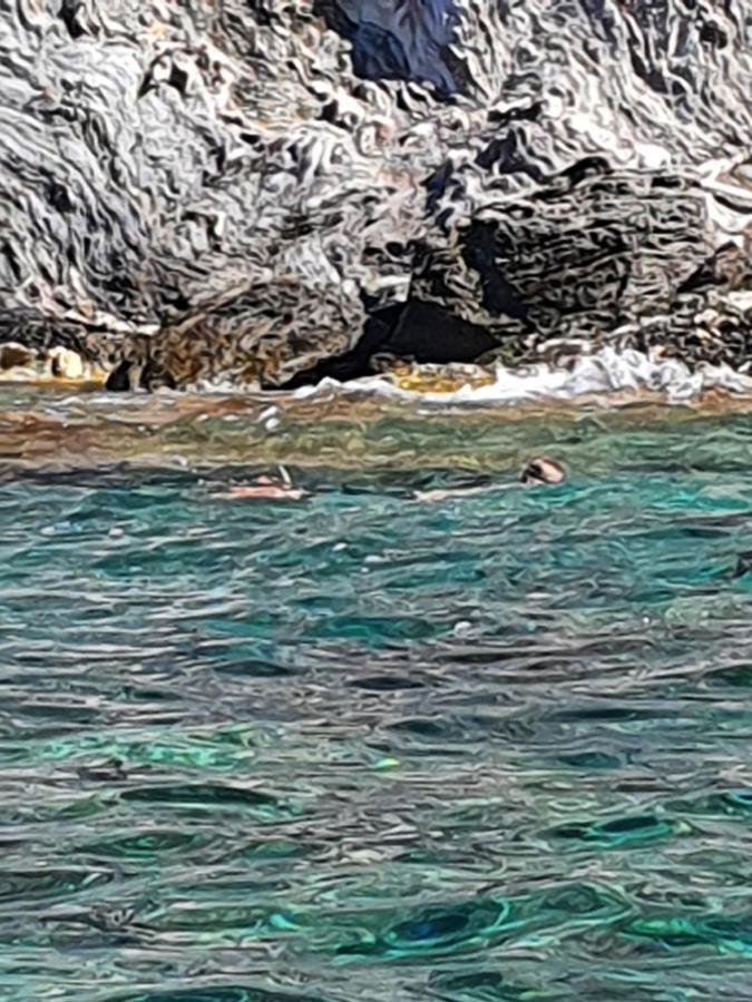 Porquerolles - Nuit insolite à bord du Défi Fou Extérieur photo